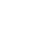 Vector